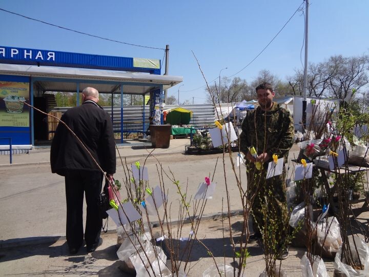    Фото:Светлана Калинина
