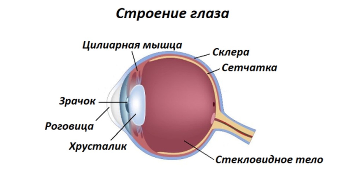 фото из открытого источника