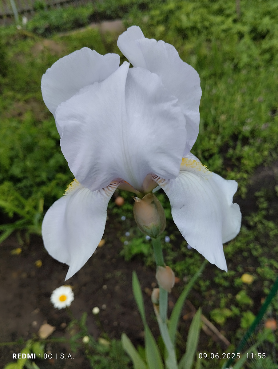 Фото:@Сафия Лисовская 