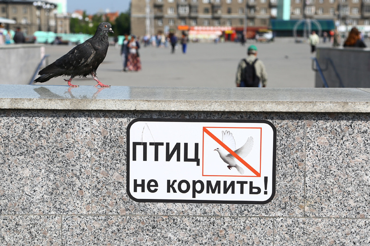    Фото из архива VN.ru