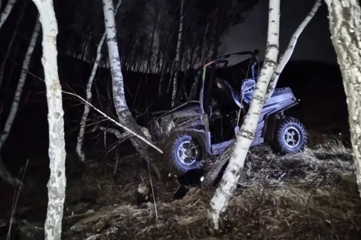    В Красноярске 22-летний парень на багги влетел в дерево и погиб