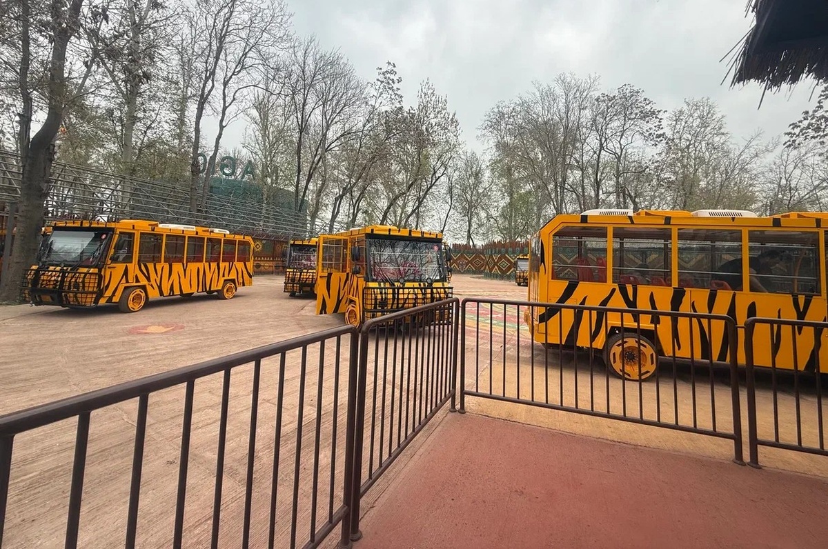 Экскурсионные автобусы Magic Safari в Ташкенте