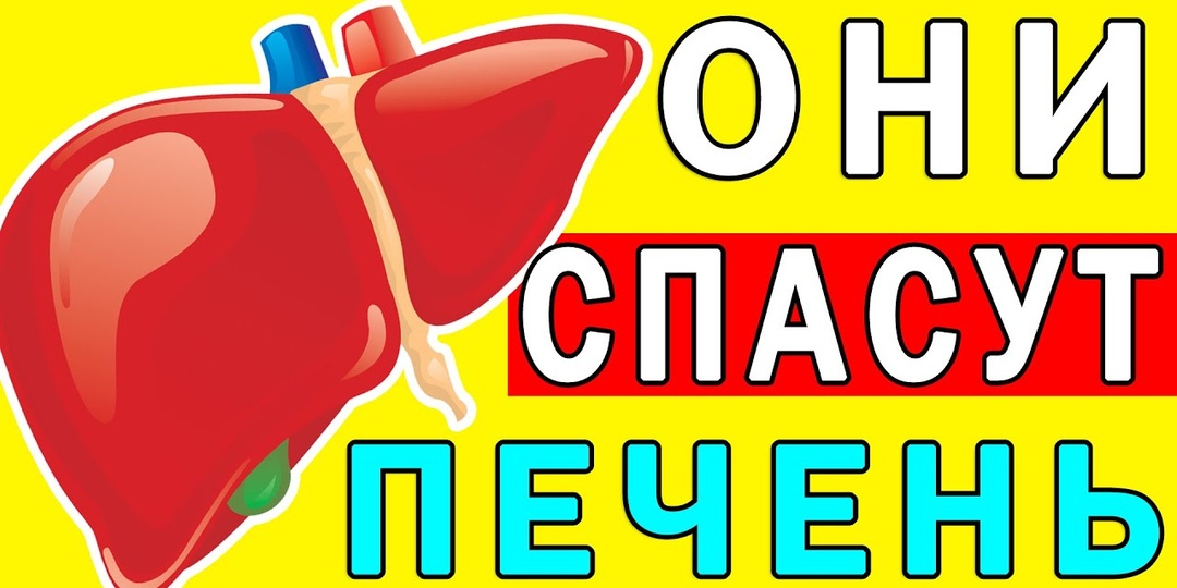 17 продуктов для ВОССТАНОВЛЕНИЯ печени и желчного пузыря