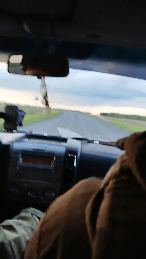    На Северном фронте начала расцветать "зелёнка". Видео: "Зов Аида"