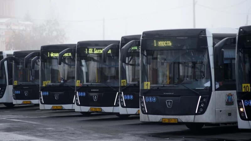     Автобусы №1 и №10. Дмитрий Лямзин