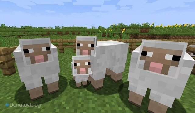    Овцы в Minecraft