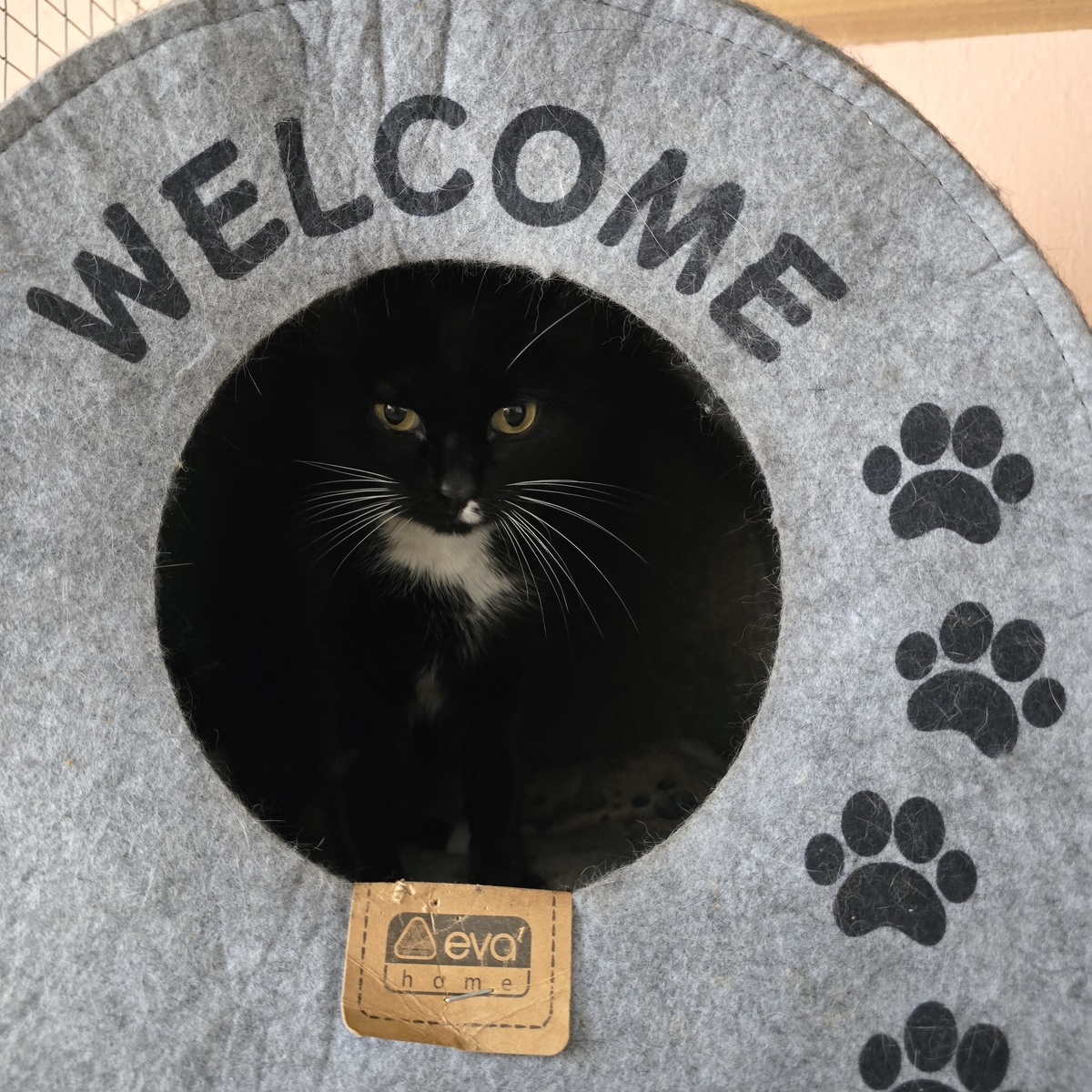 Фрося смотрит из круглого домика с тревогой