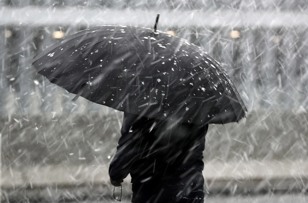 Фото из открытых источников 