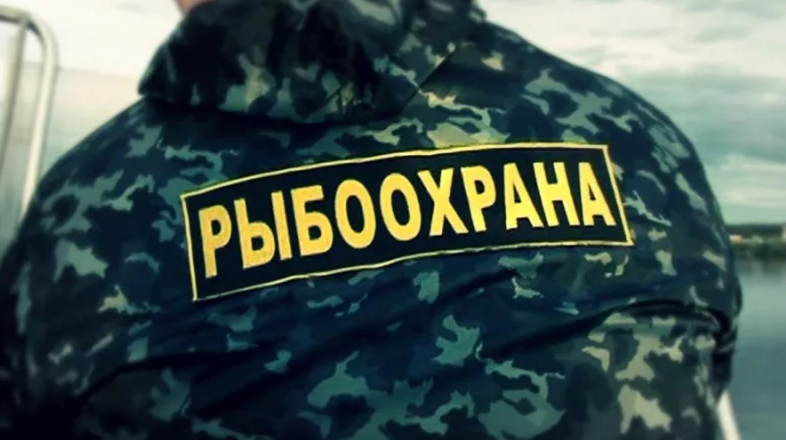 Инспектор рыбоохраны рассказал как ловили браконьеров и про "белых и пушистых" рыбаков любителях
