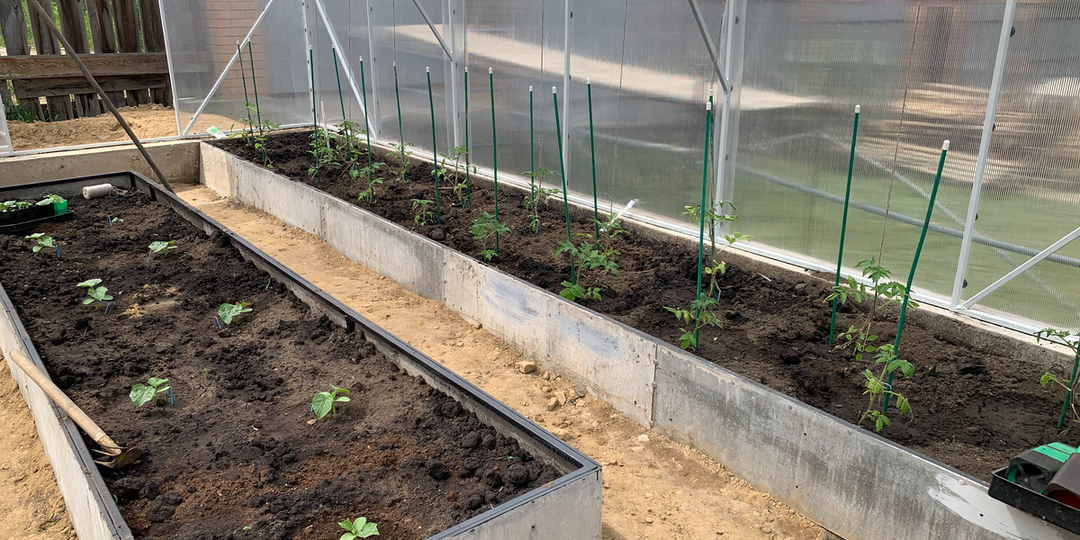 Теплица в апреле: 7 вещей, которые лучше проверить до высадки