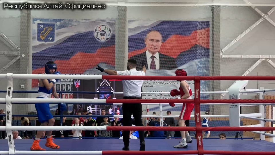    Стартовый день первенства СФО по боксу памяти Героя России Александра Кускова. Источник: Пресс-служба правительства Республики Алтай