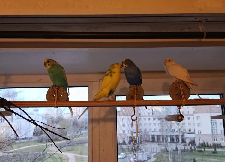 Чем больше, тем лучше .😘😘😘😘