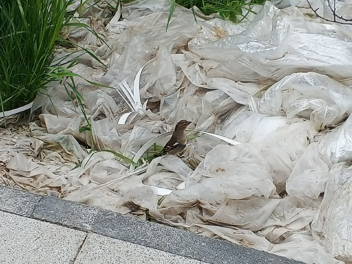 Фото Галины Малышевой