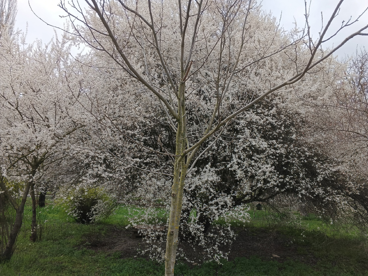 Фото Галины Малышевой