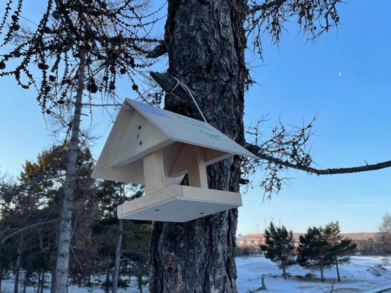 © Фото: Юрий Мясников | «Заповедное Прибайкалье»