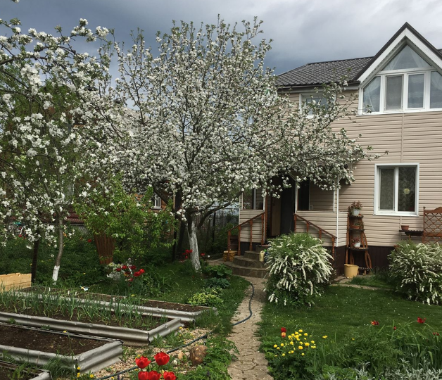 Дача будет самой красивой: 10 дел, которые следует успеть до лета