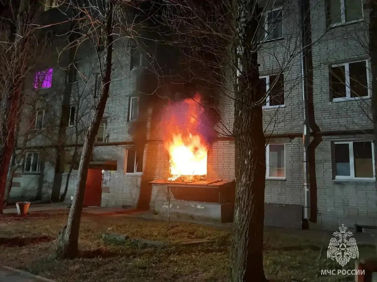    Фото: МЧС Ленобласти