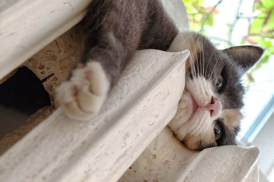    Основанием для остановки котельных послужило устойчивое весеннее потепление Алексей БУЛАТОВ