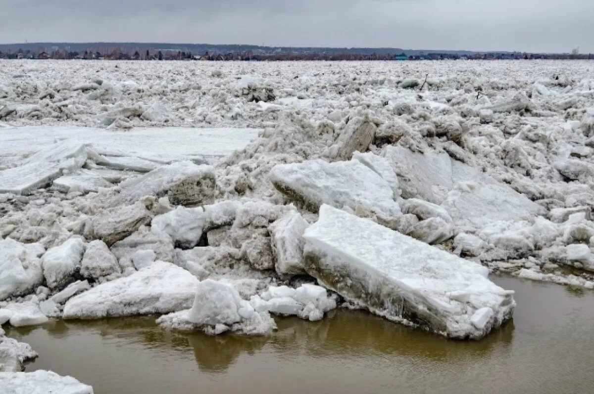   Голова ледохода на Оби находится в двух километрах от Кожевниково,