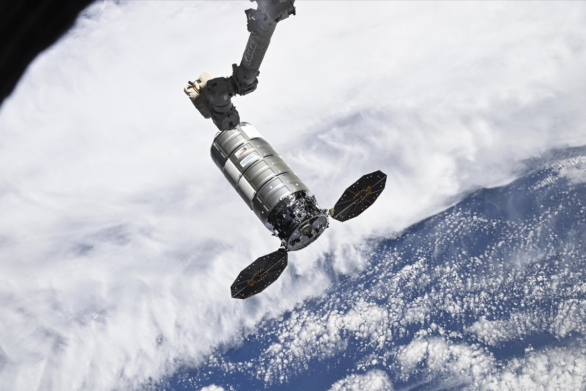 Фото: Сергей Кудь-Сверчков  📷
