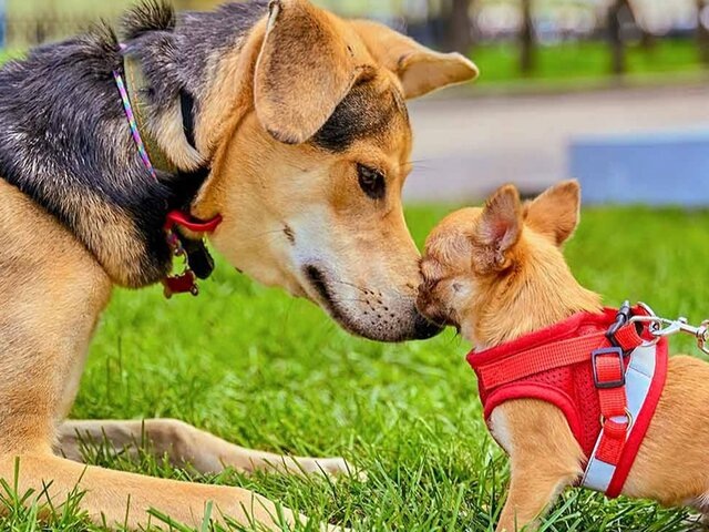    Фото: портал мэра и правительства Москвы