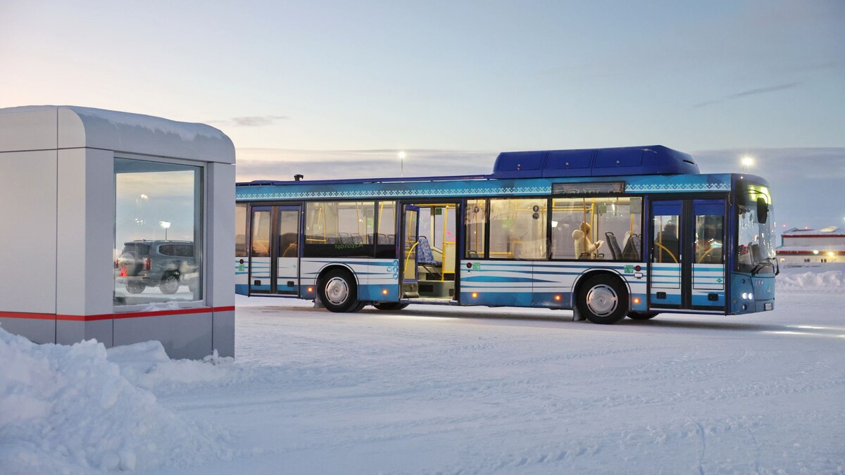    Фото: Андрей Ткачёв / «Ямал-Медиа»