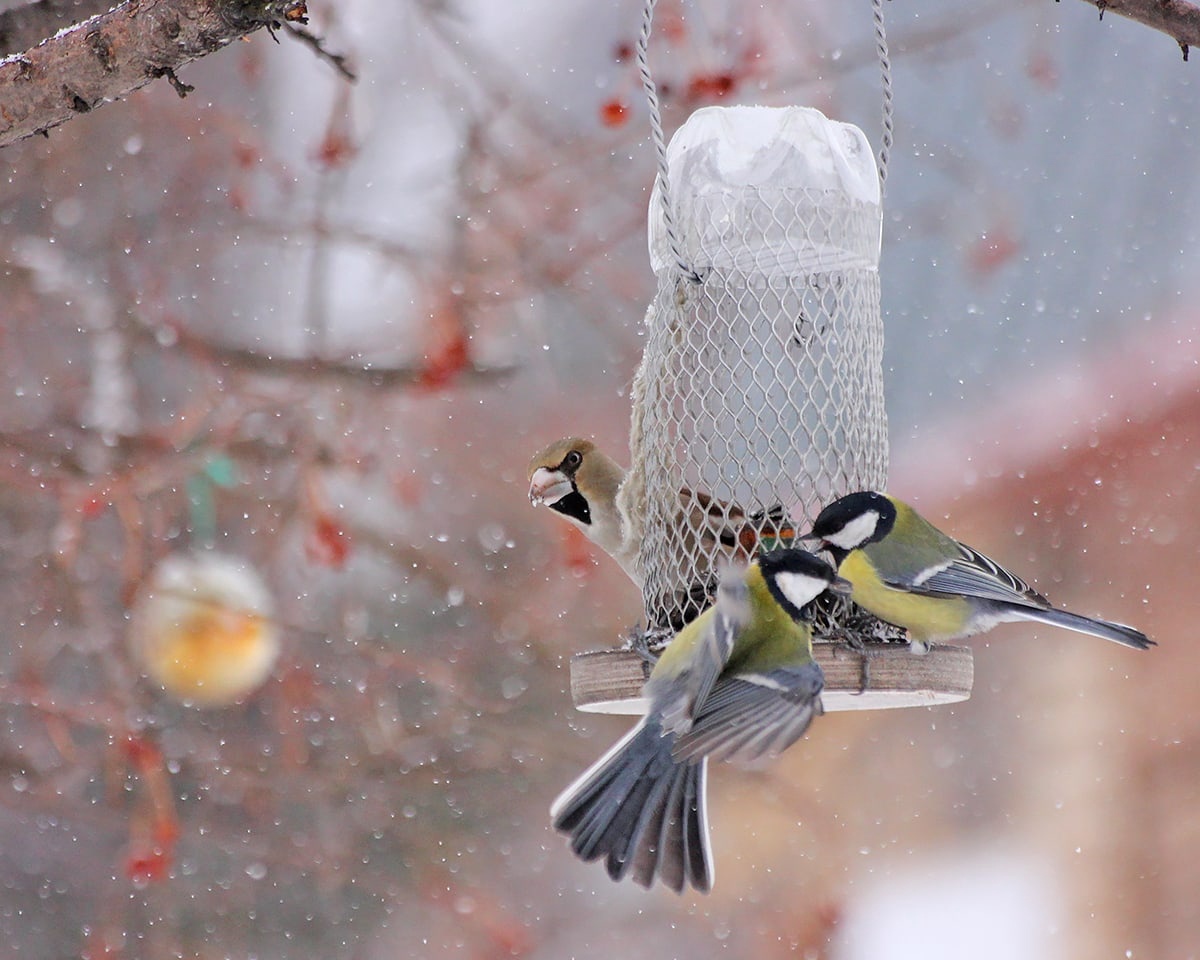 Апрель 2022г.