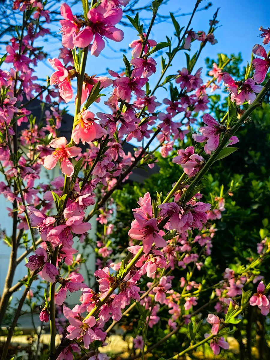 Фото автора канала