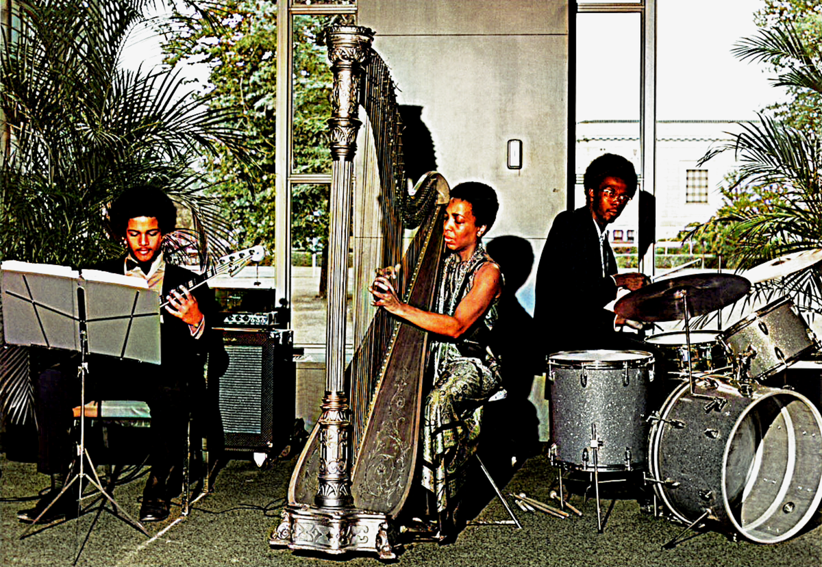 Дороти Эшби со своим ансамблем