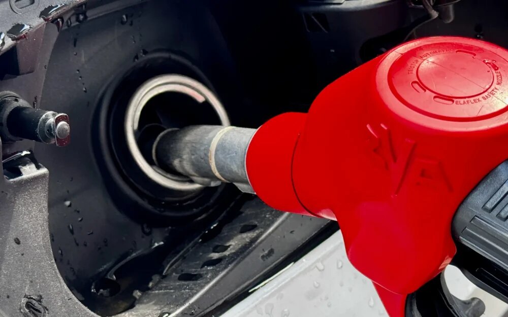    Фото: "Брянские новости"