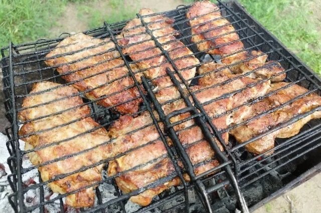    Какие штрафы грозят новосибирцам за шашлыки в 2026 году?
