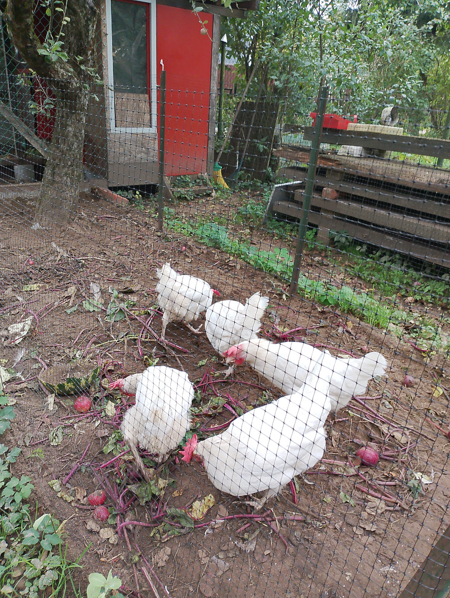 Фото автора.