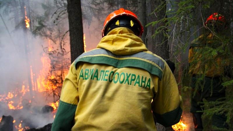    В Югре потушен первый ландшафтный пожар