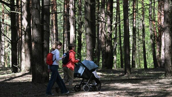    © Sputnik / Кирилл Зыков