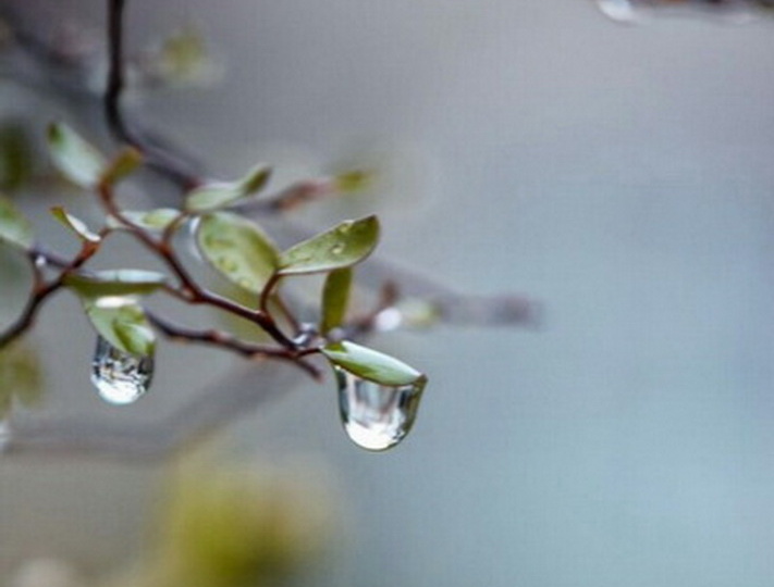 Весеннний дождь и мысли про экономию в Светофоре