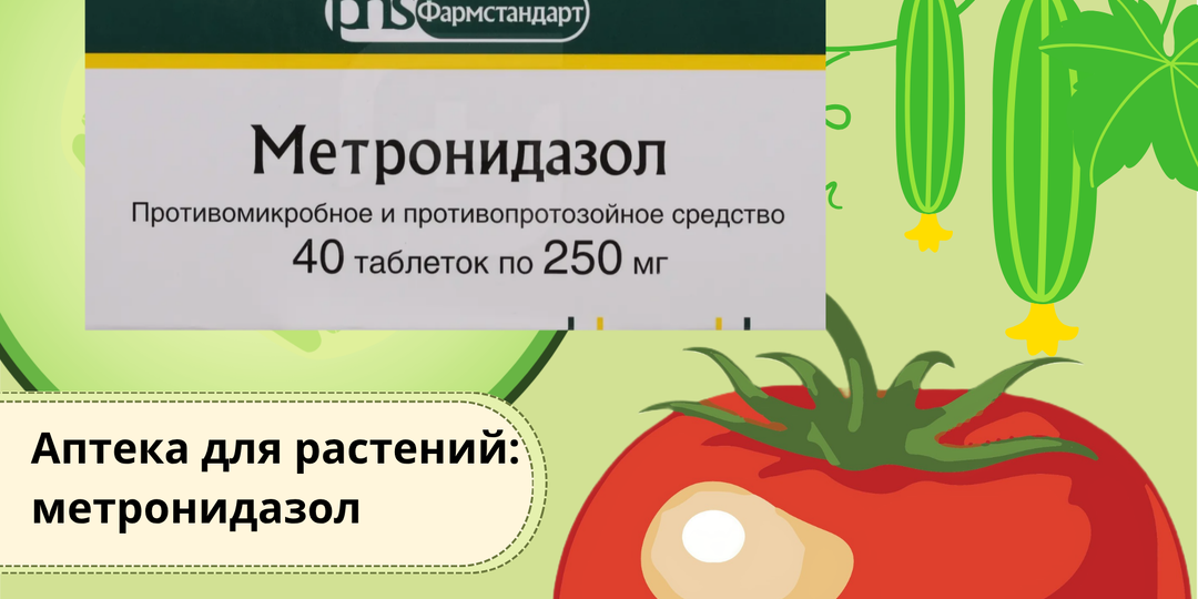 Аптека для растений: метронидазол