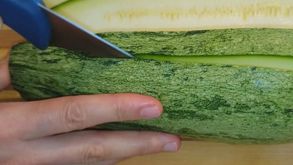 Разрезал кабачок и увидел — все семена стоят ребром, острым кончиком в одну сторону. Природа сама показывает, как сажать