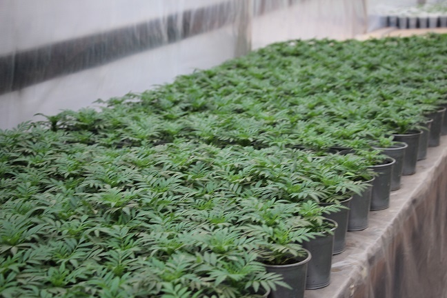    Фото из архива "РВ" Василий Шеин