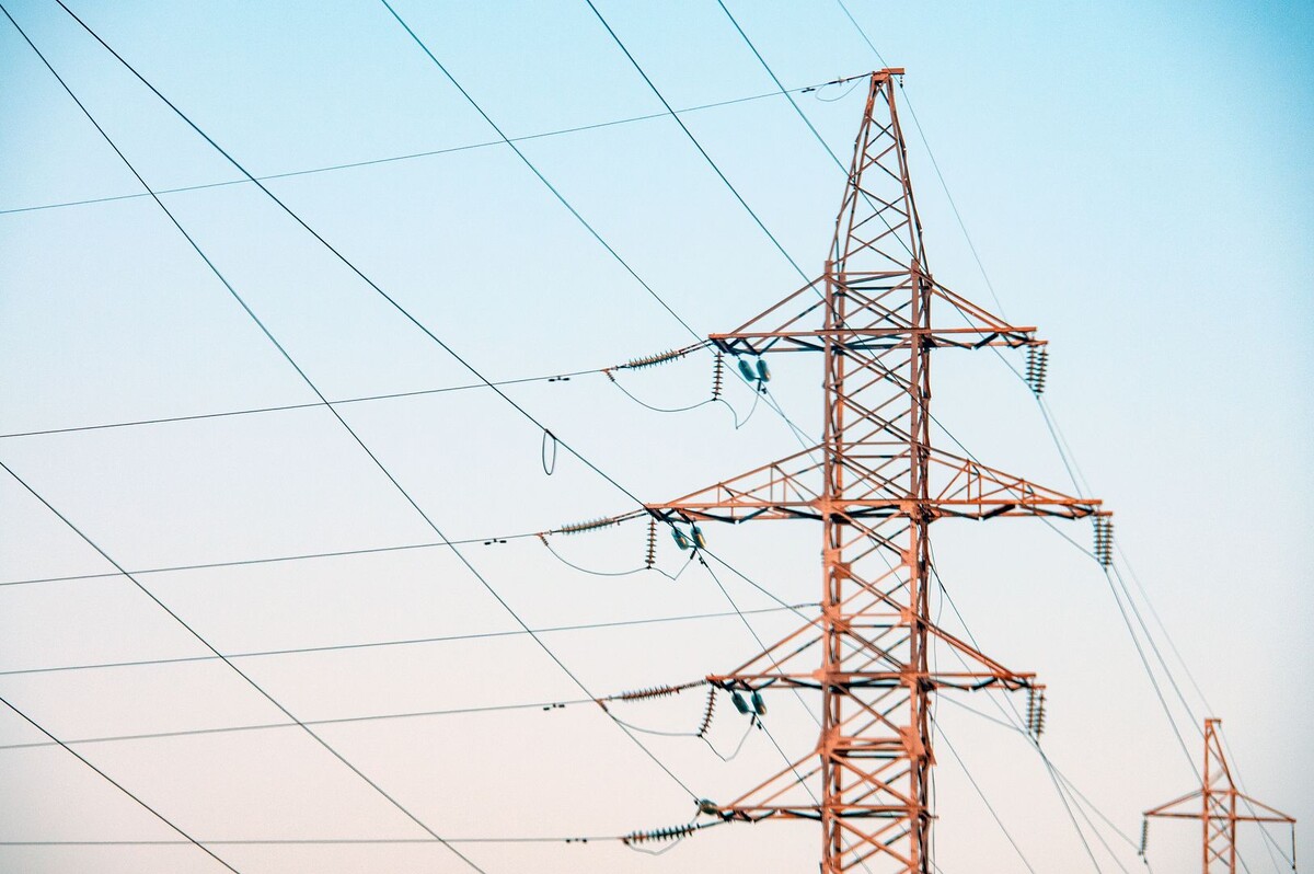     / Источник: © Svetlana Vozmilova/Global Look Press