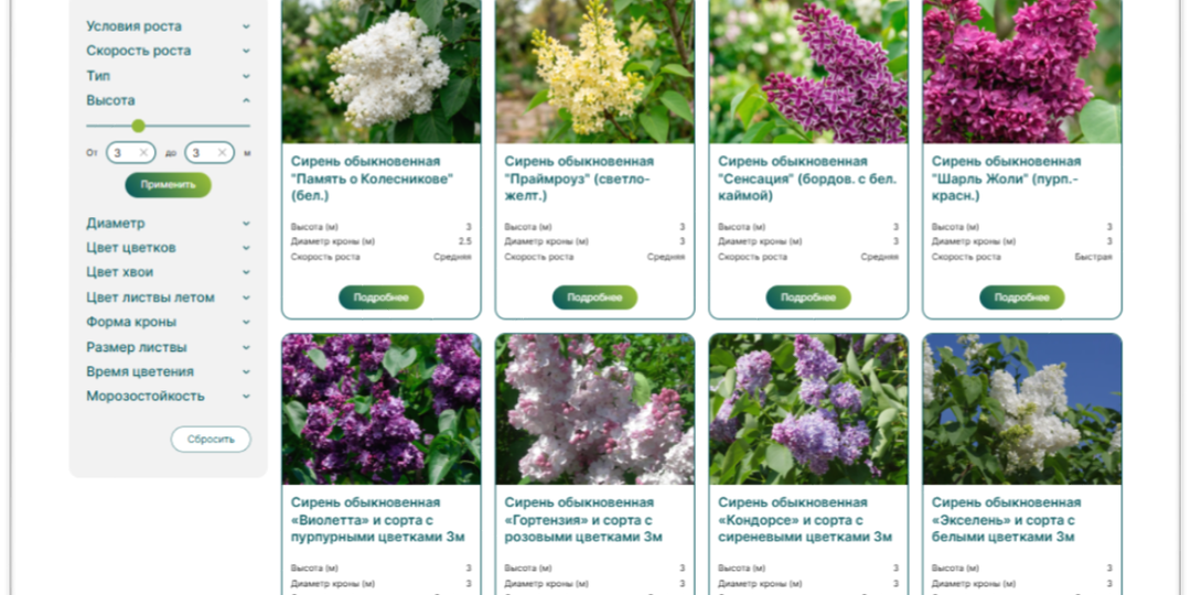 10 цветущих кустарников высотой 3 метра в LandComp. В каких садах лучше посадить?