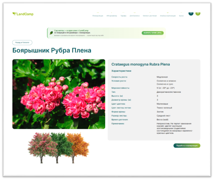 LandComp -  в каталоге карточка растения "Боярышник Рубра Плена"