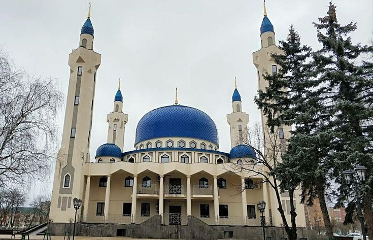 Фотография взята из открытых источников.