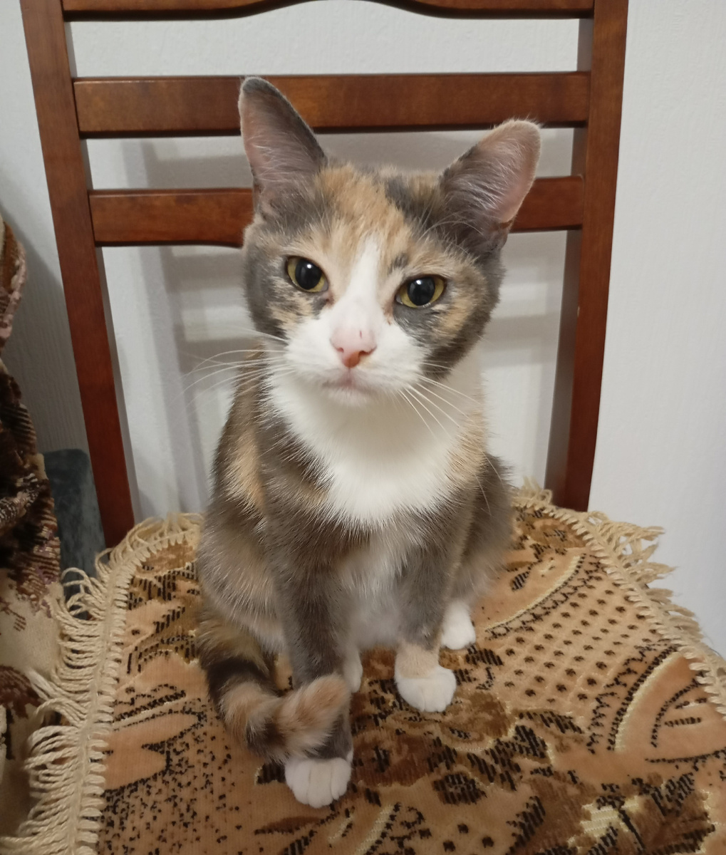 Фотография автора