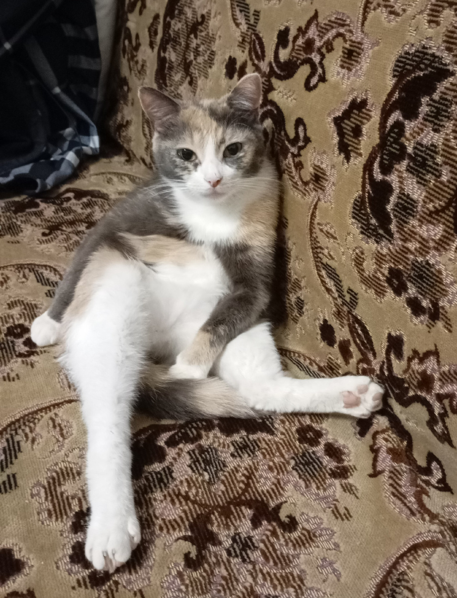 Фотография автора