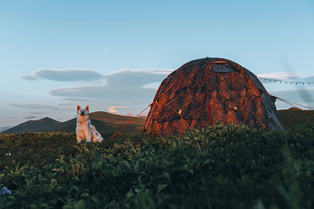 Палатка Берег УП-2