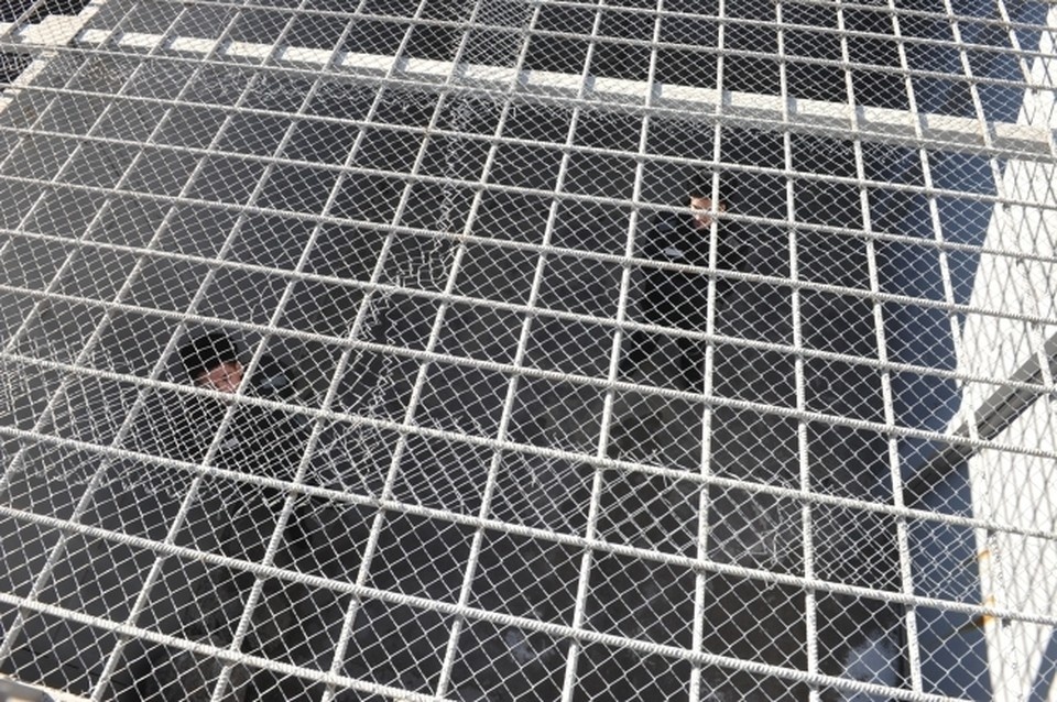    Жительница Усинска задержана по подозрению в убийстве сожителя во время ссоры