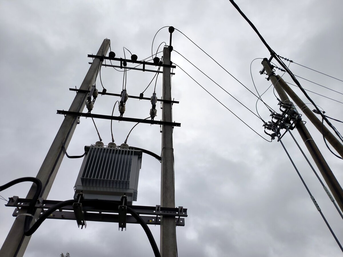     / Источник: © Maksim Konstantinov/Global Look Press