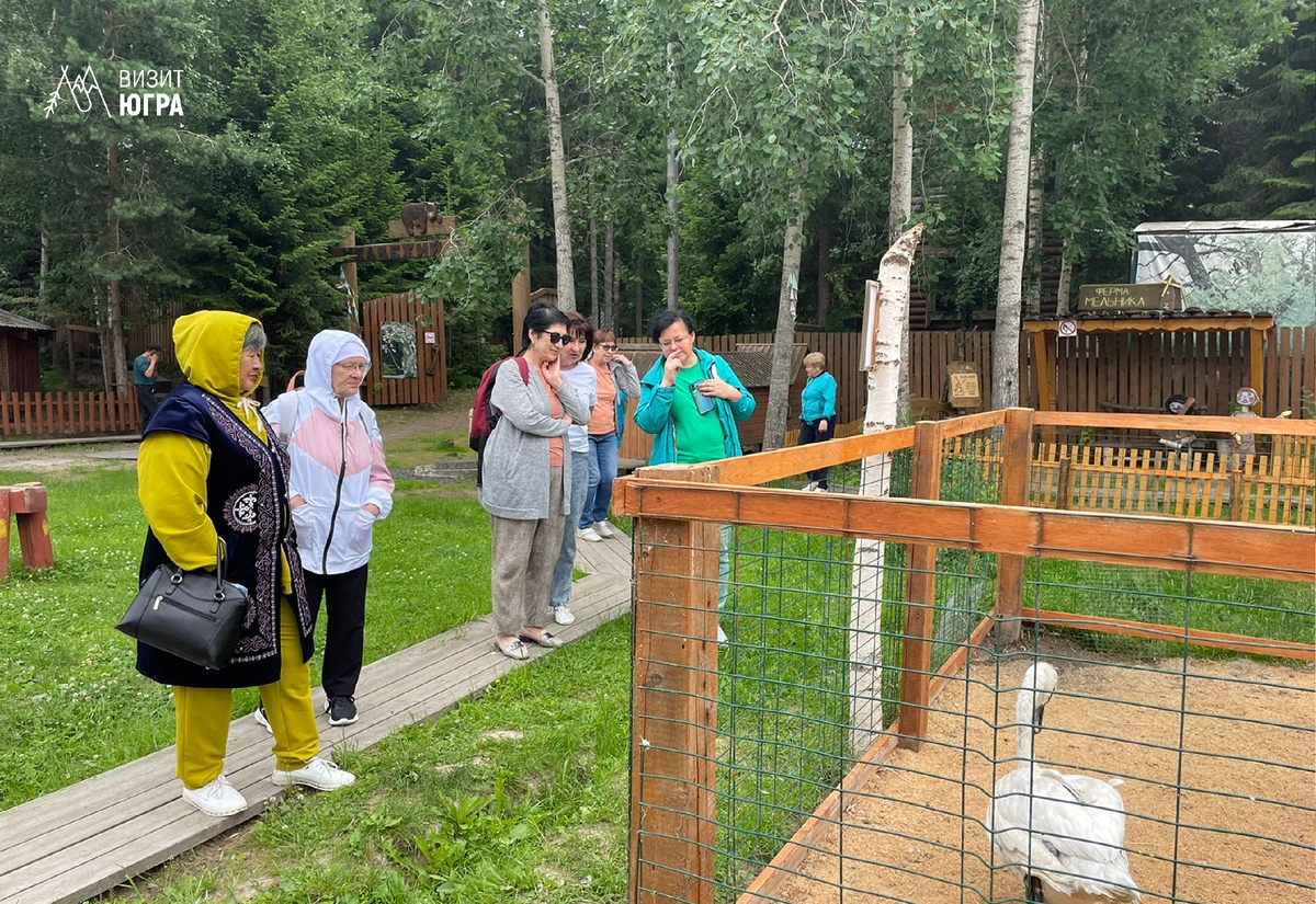 Фото: Природный парк «Самаровский чугас»