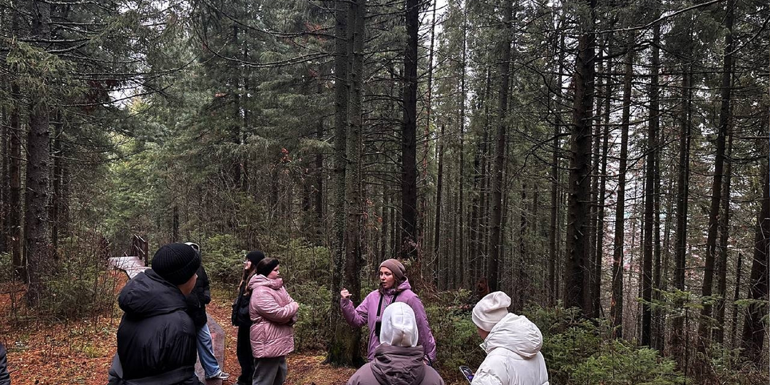 В гости к Степану и вековым кедрам: поездка с детьми в Шапшинское урочище