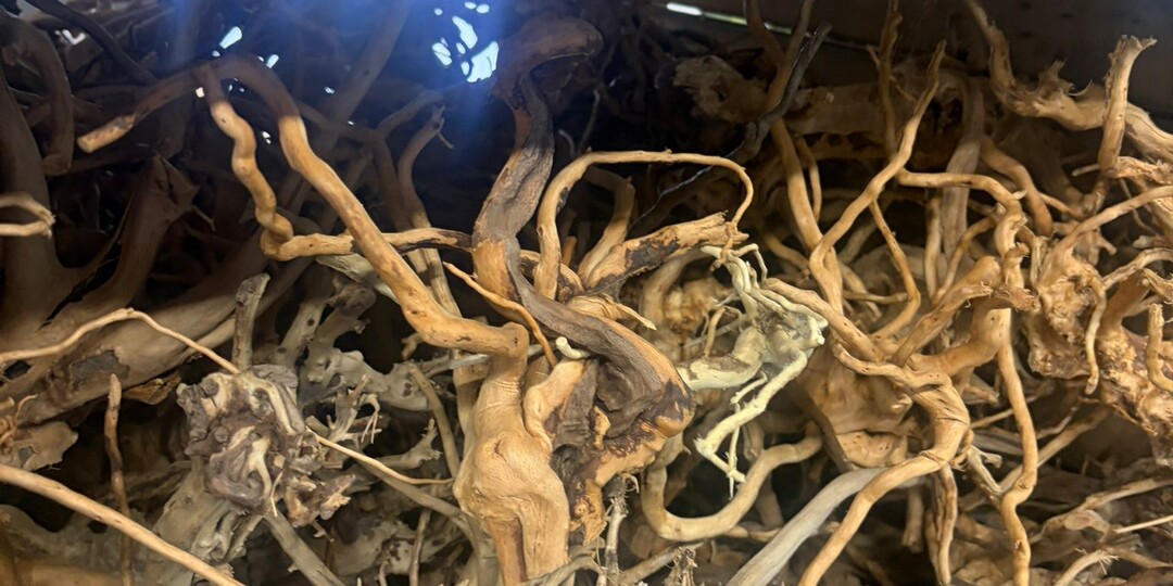 Естественный декор: Камень Дракона против «дерева»-перевёртыша